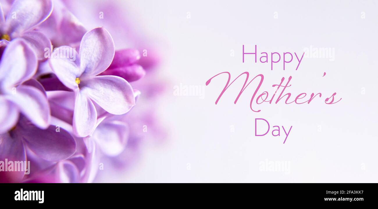 Happy Mothers Day Karte mit lila Blumen Stockfoto