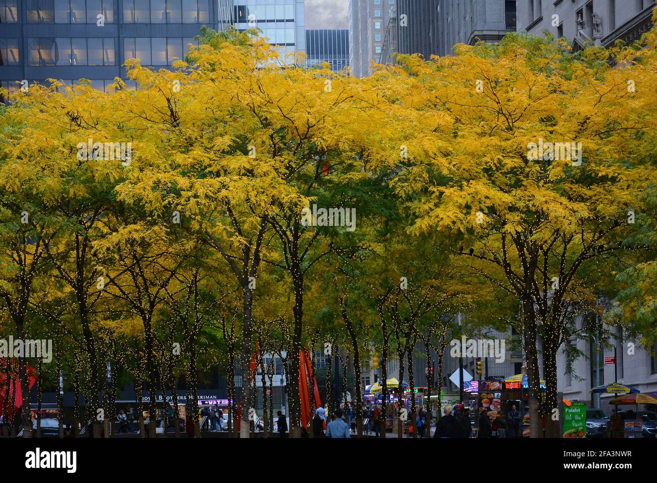 New York, NY - 05. NOV 2019: Zuccotti Park im Financial District von Lower Manhattan mit Bäumen in Herbstfarben und mit Lichterketten gewickelt. Stockfoto