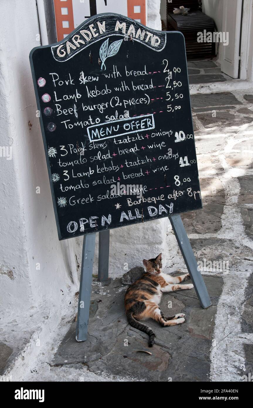 Ruhende Katze unter der Speisekarte von Garden Manto, Mykonos, Griechenland Stockfoto