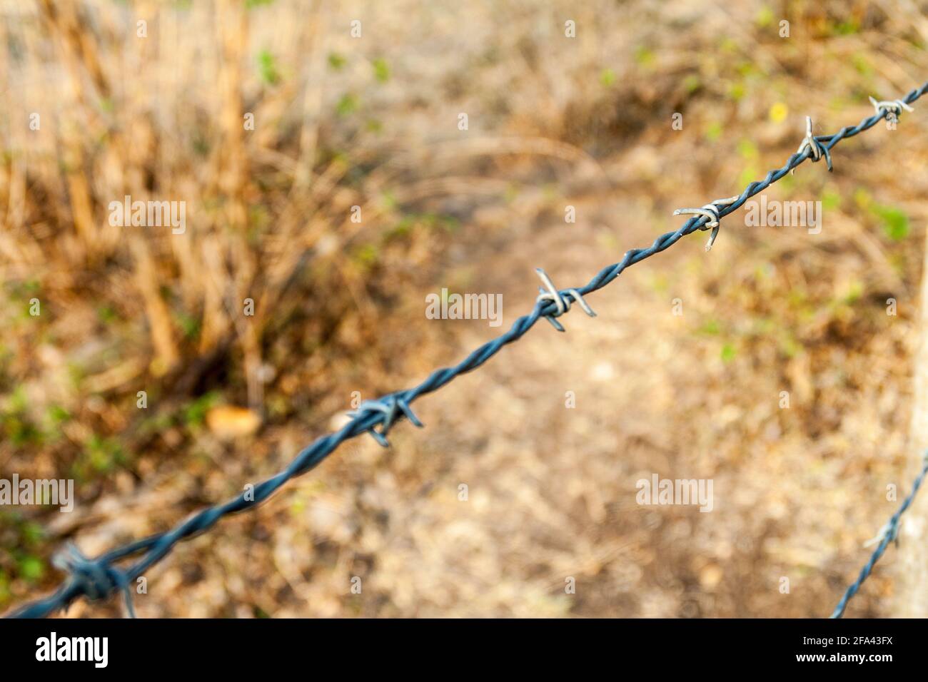 Detail eines Stacheldrahtes Stockfoto