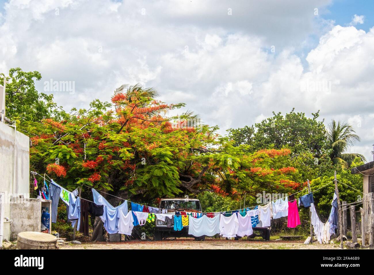 Kleidung, die zum Trocknen an einer hängenden Linie am mexikanischen Haus hängt, mit Royal Poinciana-Baum und SUV, die hinter dem wolkigen Himmel geparkt sind. Stockfoto