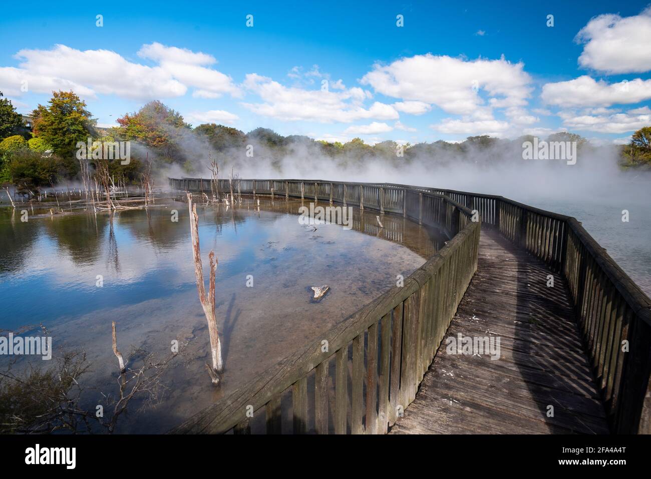 Geothermischer See im Kuirau Park, Rotorua, Neuseeland Stockfoto