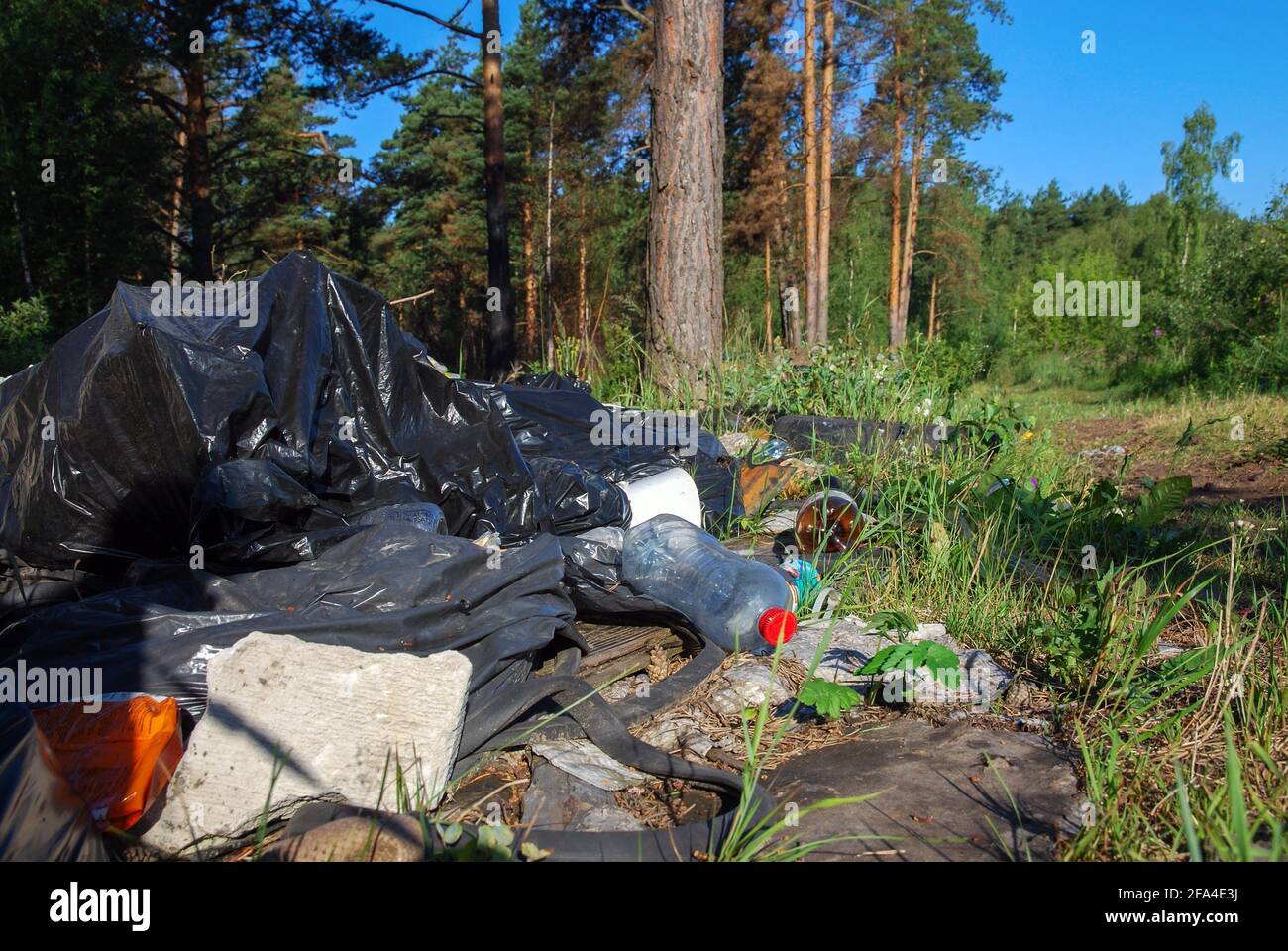 Unerlaubte Mülldeponie im Wald, Haufen Hausmüll Stockfoto