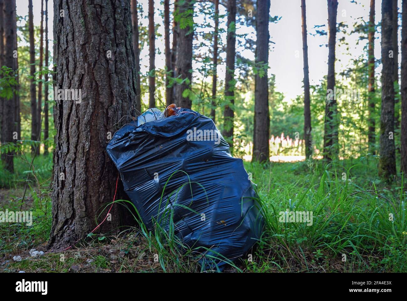 Müllbeutel voller Hausmüll wurde in der gelassen Wald Stockfoto