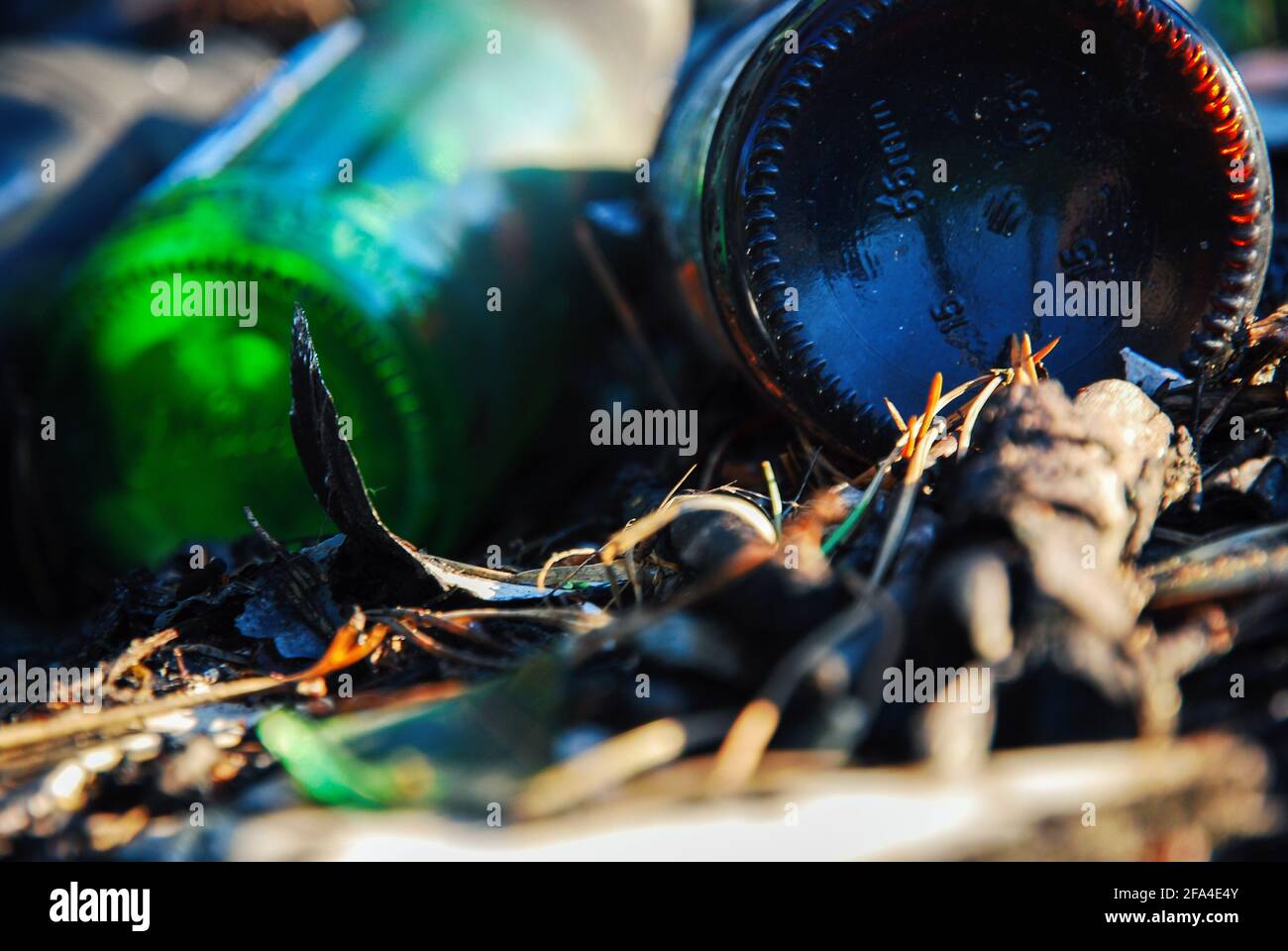 Nahaufnahme von Bierflaschen aus Glas, die im Wald zurückgelassen wurden - Problem der Umweltverschmutzung Stockfoto