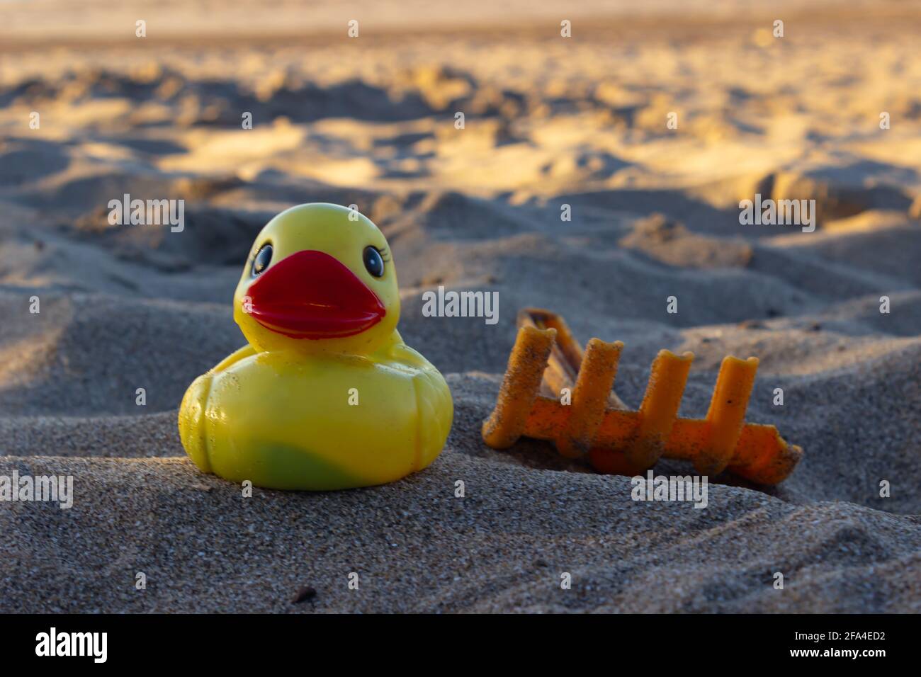 Kunststoffente Fotos und Bildmaterial in hoher Auflösung Alamy