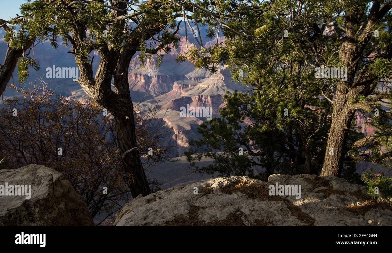 Der Grand Canyon ist eine der großen Naturlandschaften auf dem Planeten. Die Schönheit ihrer Formationen, 446 km lang, bis zu 18 Meilen (29 km) breit und ein Stockfoto