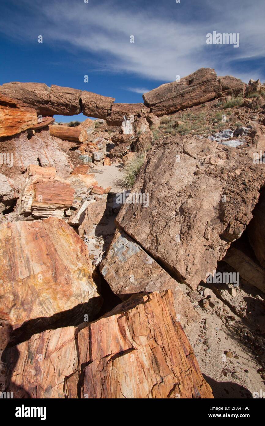 Die Arizona Petrified Forest National Park liegt im nordöstlichen Teil von Arizona gelegen, ca. 25 km östlich von Holbrook. Der Versteinerte Wald ist Ho Stockfoto