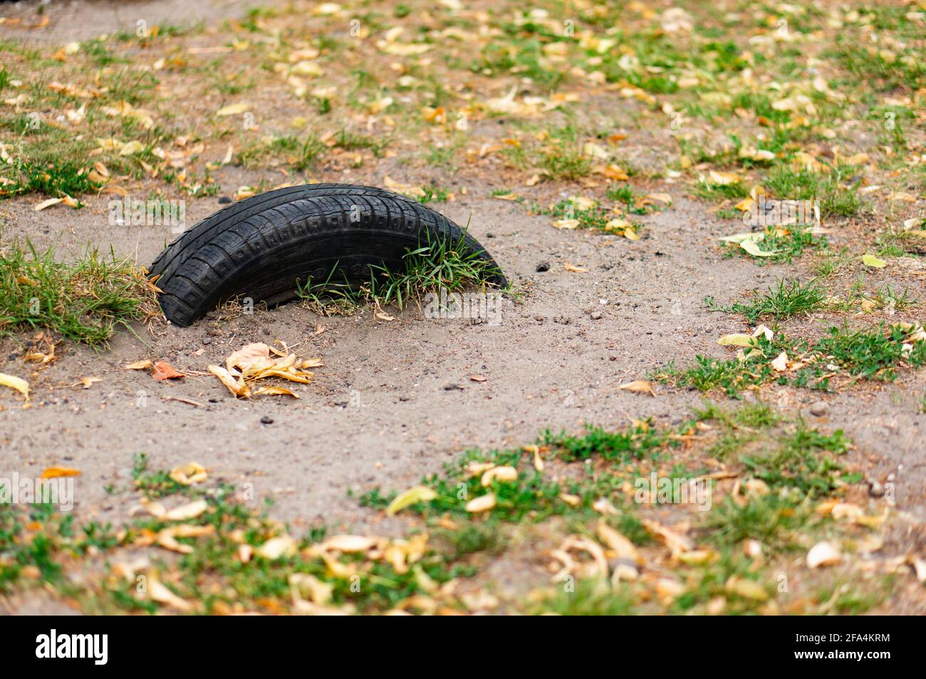 Alter halber Autoreifen, der mit Gras auf dem Boden vergraben ist Stockfoto