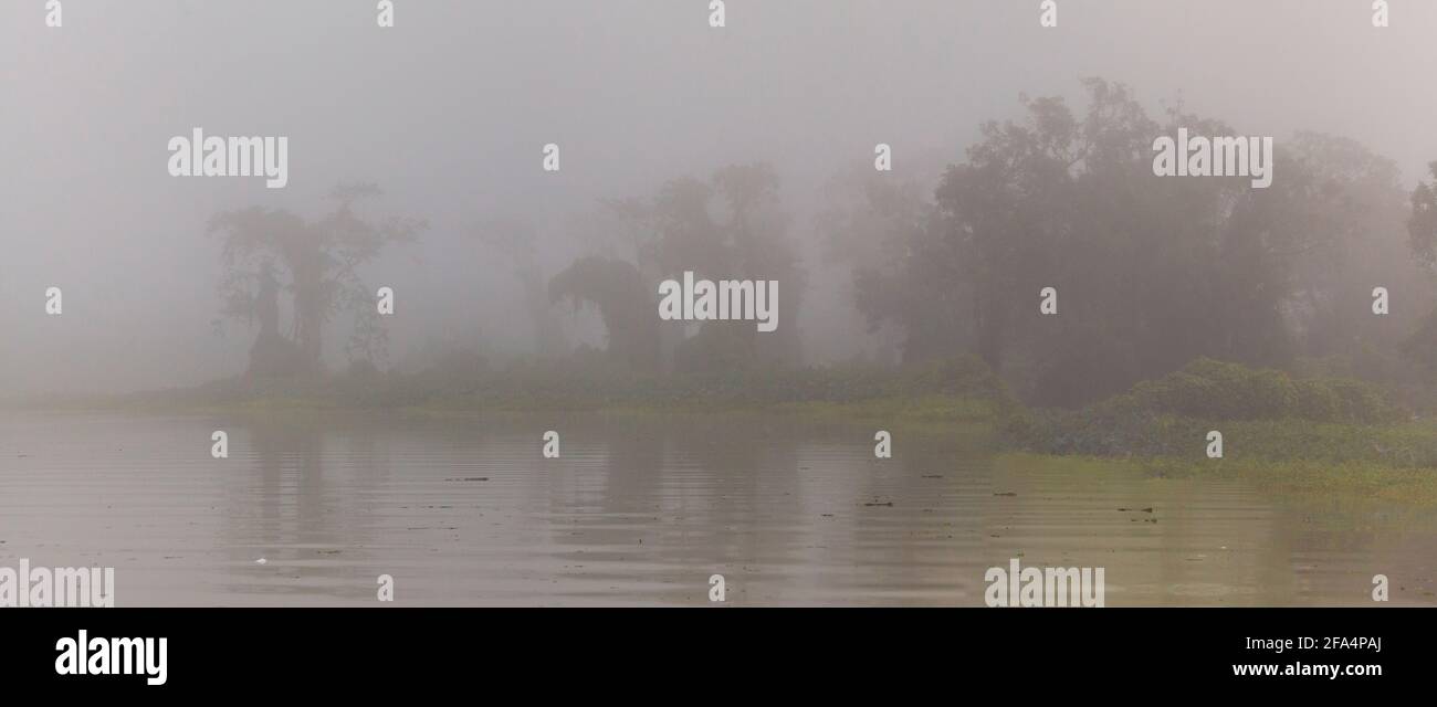 Panamalandschaft mit Panoramablick auf nebligen Regenwald im frühen Morgenlicht entlang Rio Chagres im Soberania-Nationalpark, Republik Panama. Stockfoto