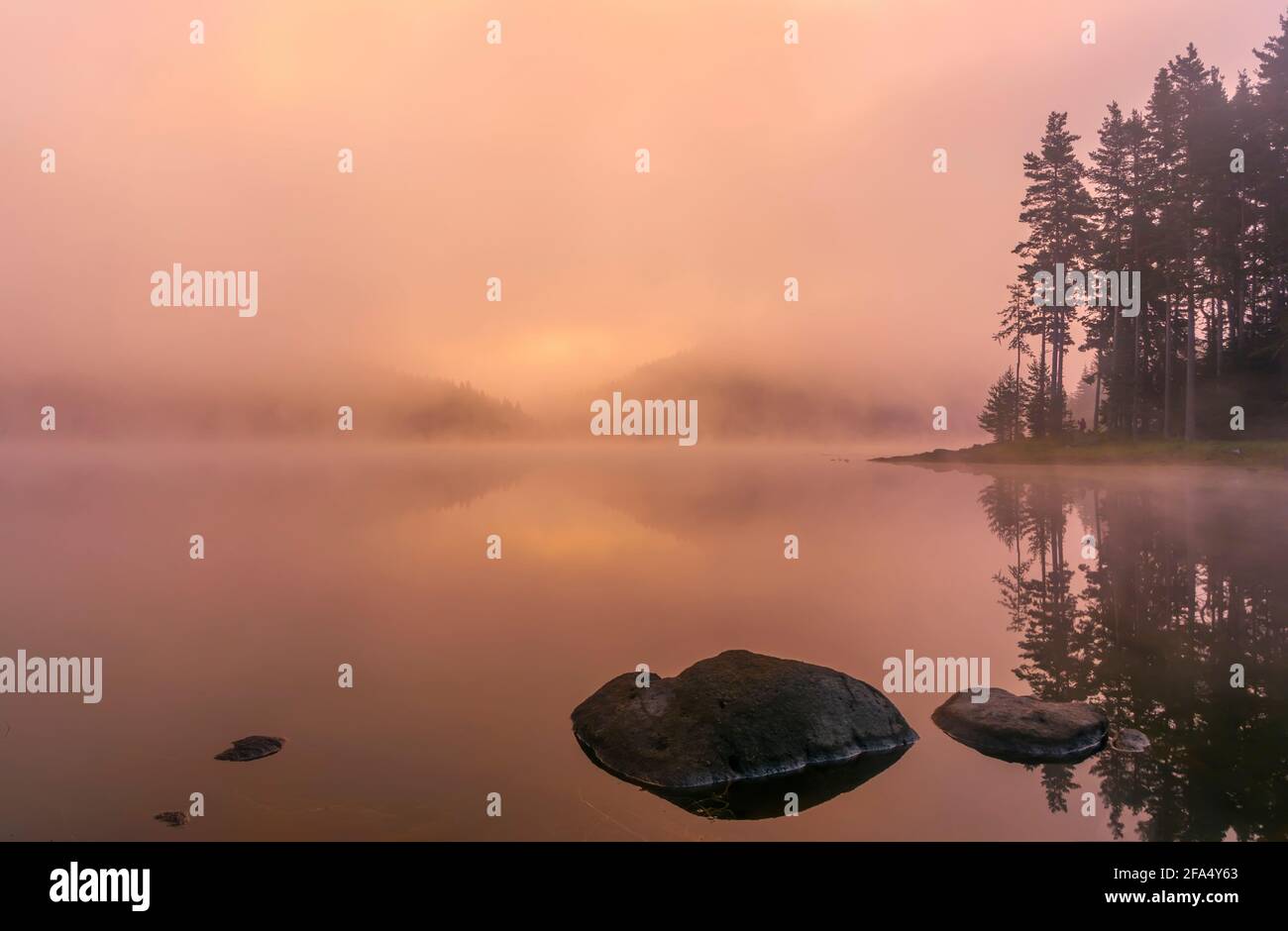 Mystisches Licht am frühen Morgen. Landschaft mit Shiroka polyana (weite Wiese) Rodophe Berg. Bulgarien Stockfoto