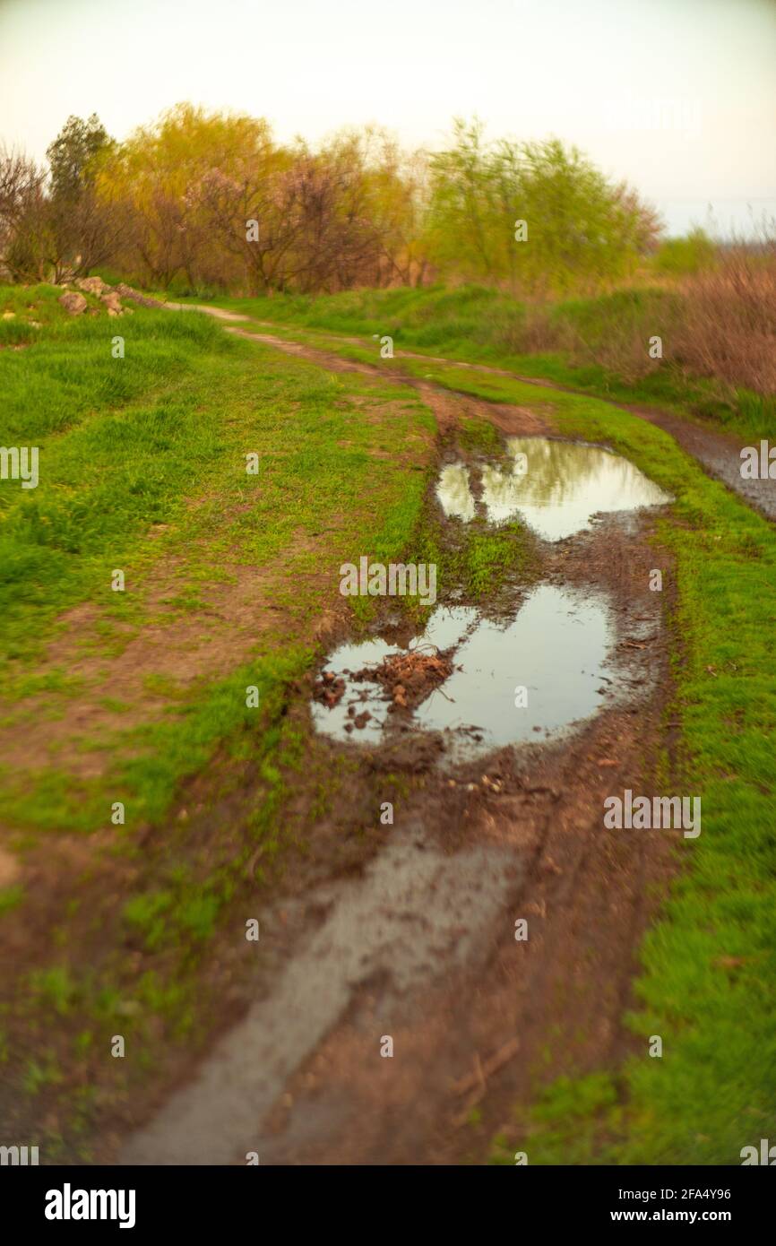Nasse Landstraße mit grünem Gras und einer Pfütze auf einem Feldweg. Stockfoto