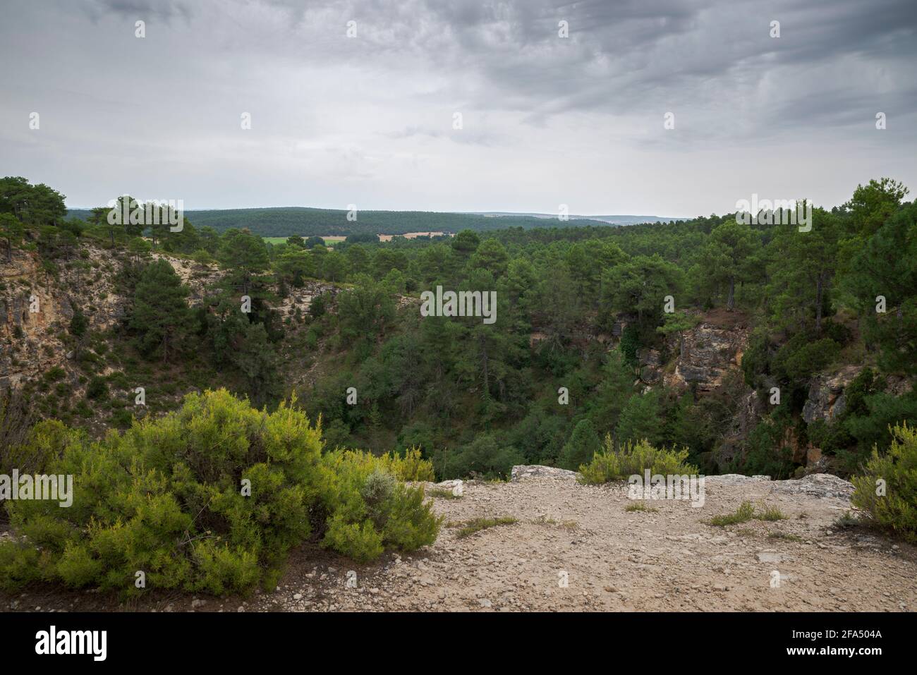 Karstlandschaft im Naturdenkmal der Lagunen von Cañada del Hoyo, Provinz Cuenca, Spanien Stockfoto