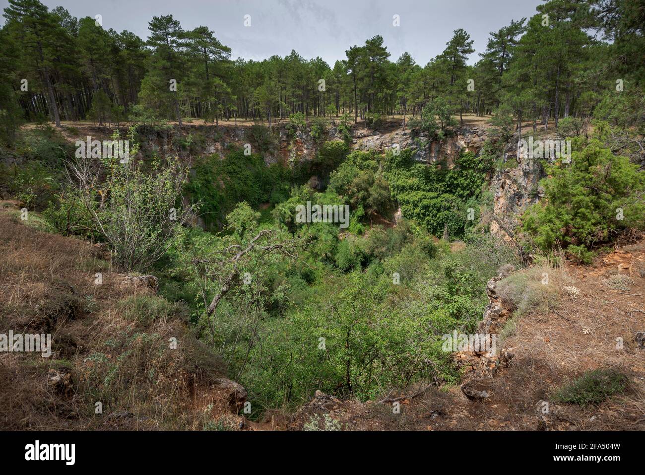 Karstlandschaft im Naturdenkmal von Palancares y Tierra Muerta, Provinz Cuenca, Spanien Stockfoto