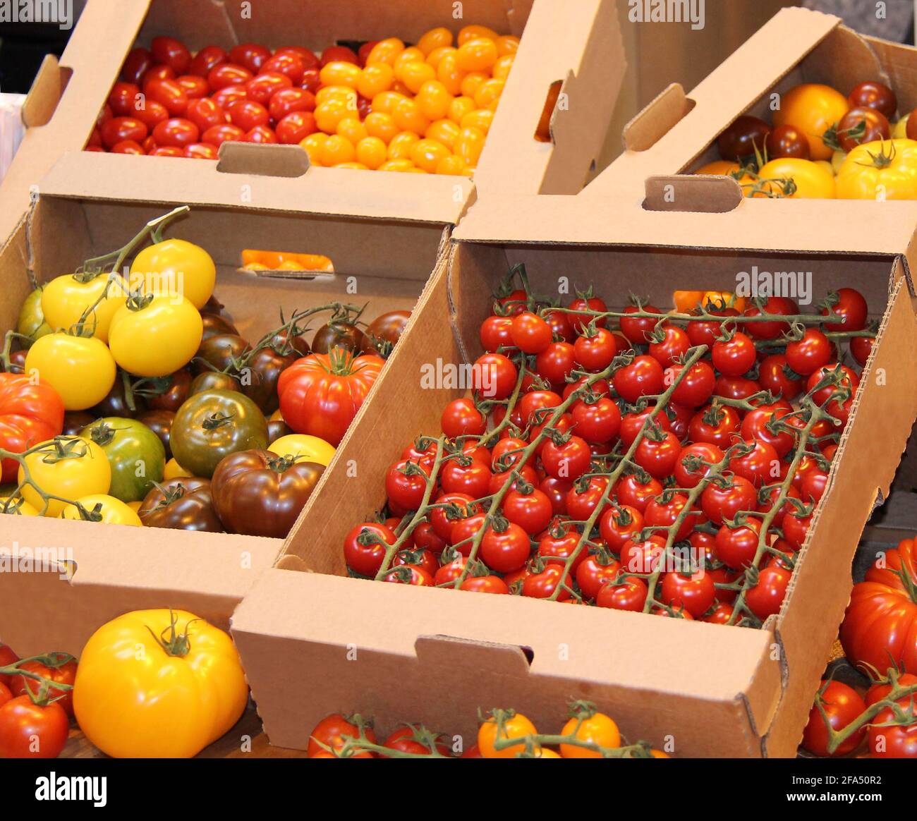 Ein Display mit verschiedenen Farben und Größen von Tomaten. Stockfoto