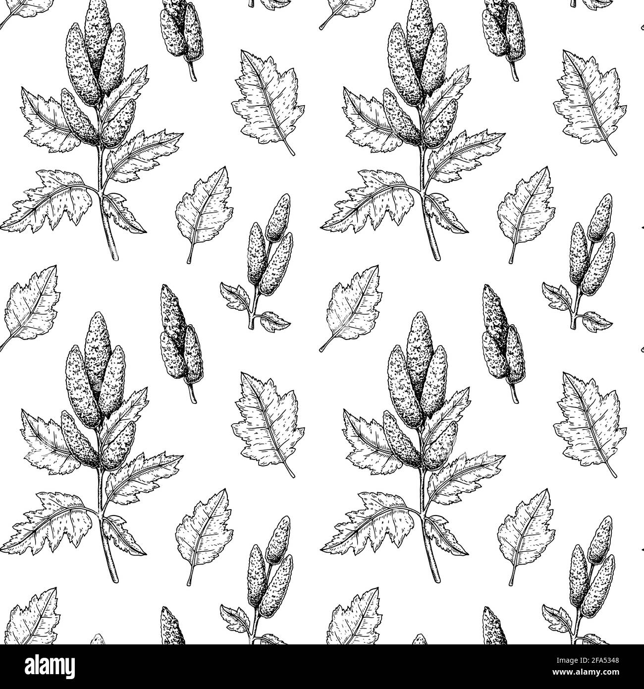 Quinoa-Nahtloses Muster. Vektorgrafik im Skizzenstil Stock Vektor