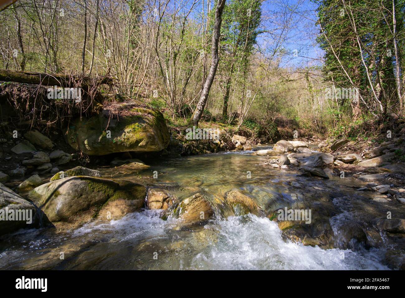 Wasserfall im Wald in der toskana Stockfoto