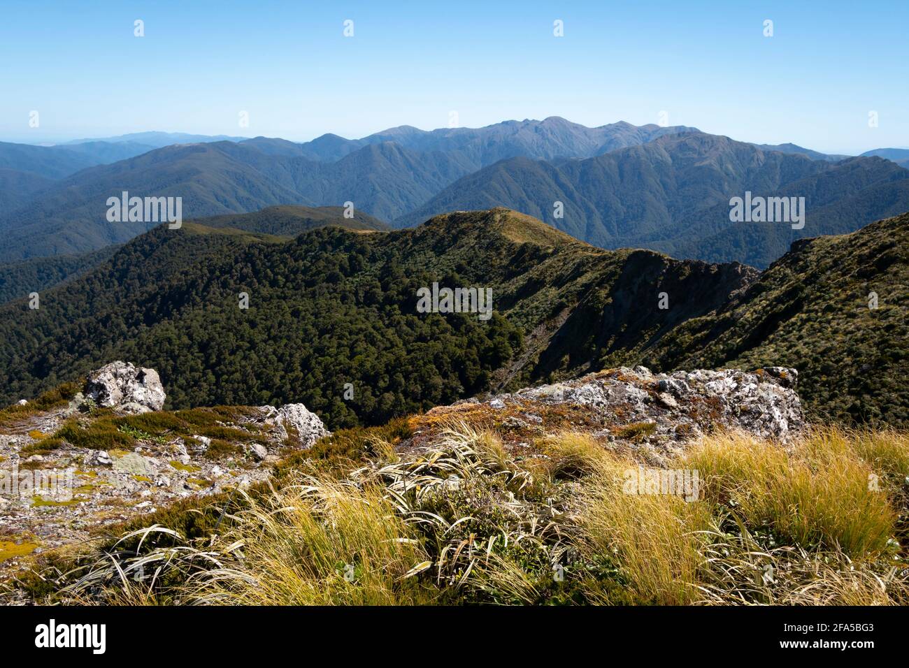 Gebirgszüge von Mount Holdsworth, Tararua Forest Park, North Island, Neuseeland Stockfoto