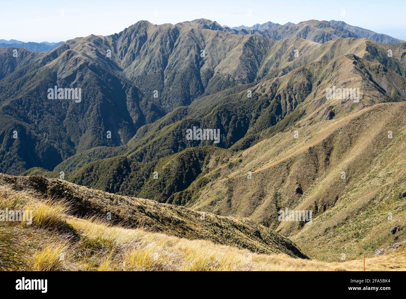 Zerklüftete Bergketten nördlich von Mount Holdsworth, Tararua Forest Park, North Island, Neuseeland Stockfoto