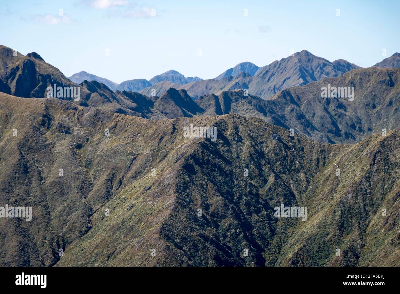 Zerklüftete Bergketten nördlich von Mount Holdsworth, Tararua Forest Park, North Island, Neuseeland Stockfoto