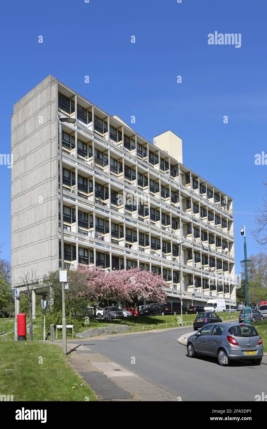 Alton East Anwesen in Roehampton, London, Großbritannien. Berühmte modernistische Wohnanlage der 1950er Jahre, inspiriert von Le Corbsiers Unite d'Habitation Stockfoto