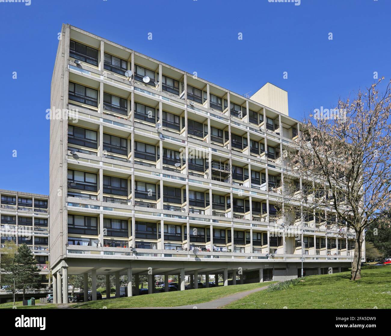 Alton East Anwesen in Roehampton, London, Großbritannien. Berühmte modernistische Wohnanlage der 1950er Jahre, inspiriert von Le Corbsiers Unite d'Habitation Stockfoto