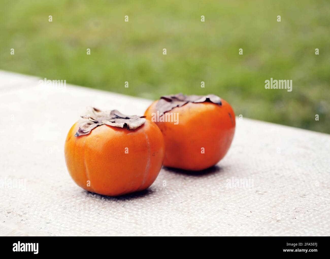 Paradies Palmenfrucht, Kaki Frucht, reife Paradies Palme auf weißem Stein, Gras im Hintergrund. Stockfoto