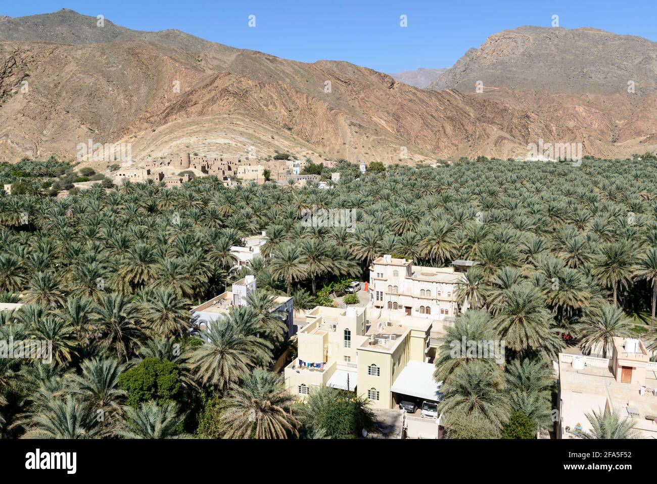 Tal des neuen und alten Dorfes Birkat Al Mawz mit seiner Dattelpalmenplantage in der Ad Dakhiliyah Region. Oman. Stockfoto
