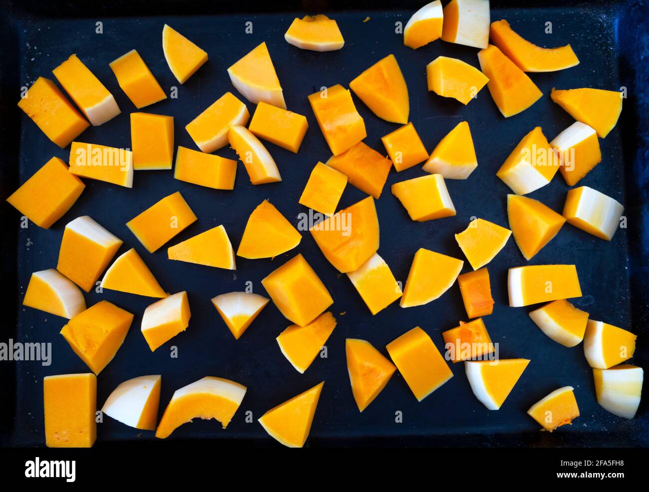 Butternut-Kürbis zerhackt vorbereitet und auf einem Backen verteilen Braten Sie den Bräter im Ofen UK KATHY DEWITT Stockfoto