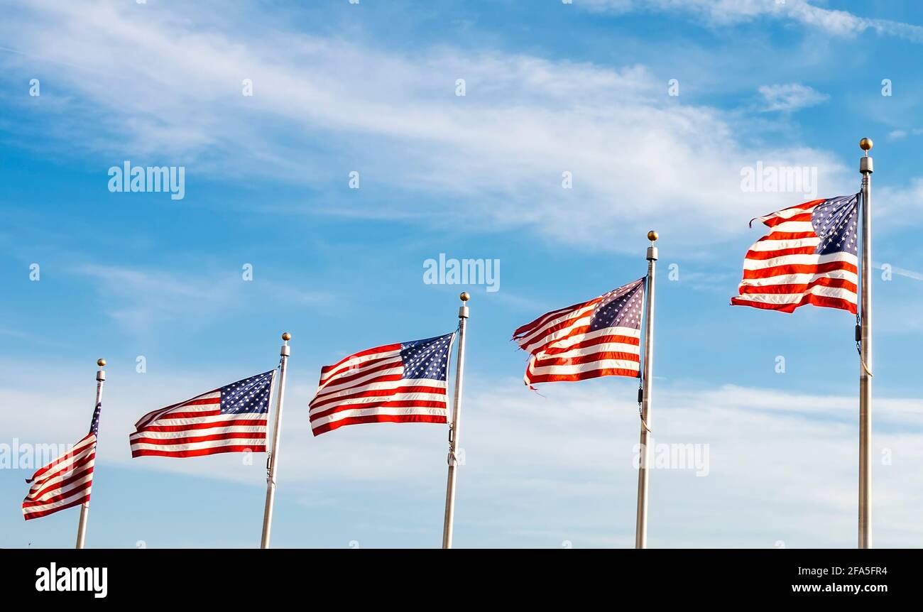 Eine Gruppe von amerikanischen Flaggen schwenkten an einem sonnigen Tag. Konzept des Patriotismus und der Demokratie Stockfoto