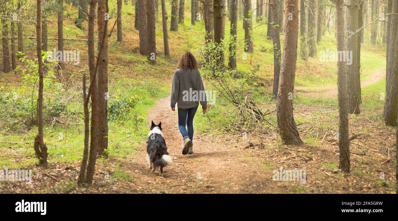 Ruhige Frau, die allein im Wald auf der Suche nach Abenteuer geht. Entspannen Sie sich in der Natur. Landschaft im Pinienwald bei Sonnenuntergang Stockfoto