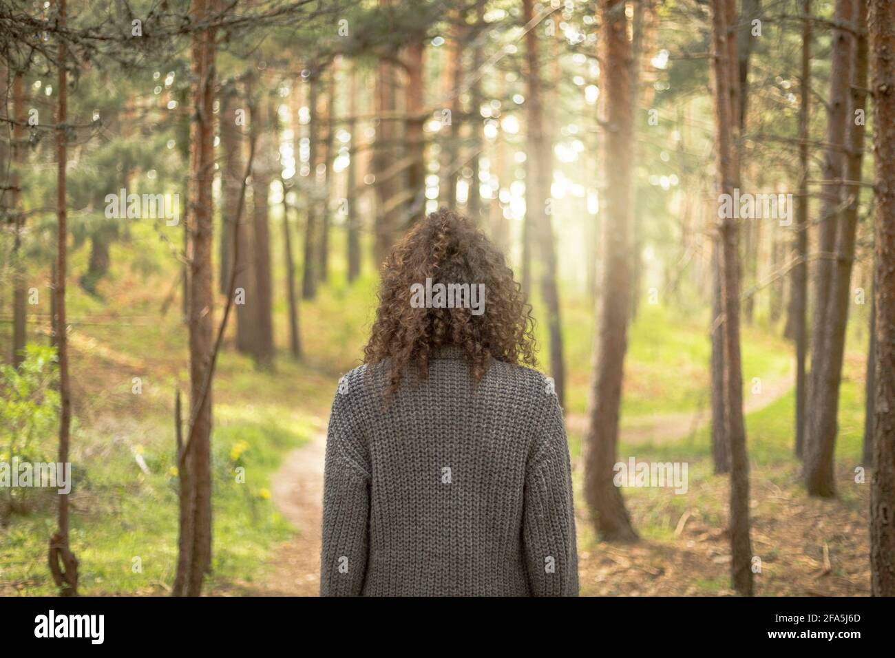 Frau von hinten, die mitten im Wald reflektiert. Meditiert in der Natur, denkt über den Weg nach vorne nach. Landschaft in einem Kiefernwald mit Sonnenuntergang Stockfoto