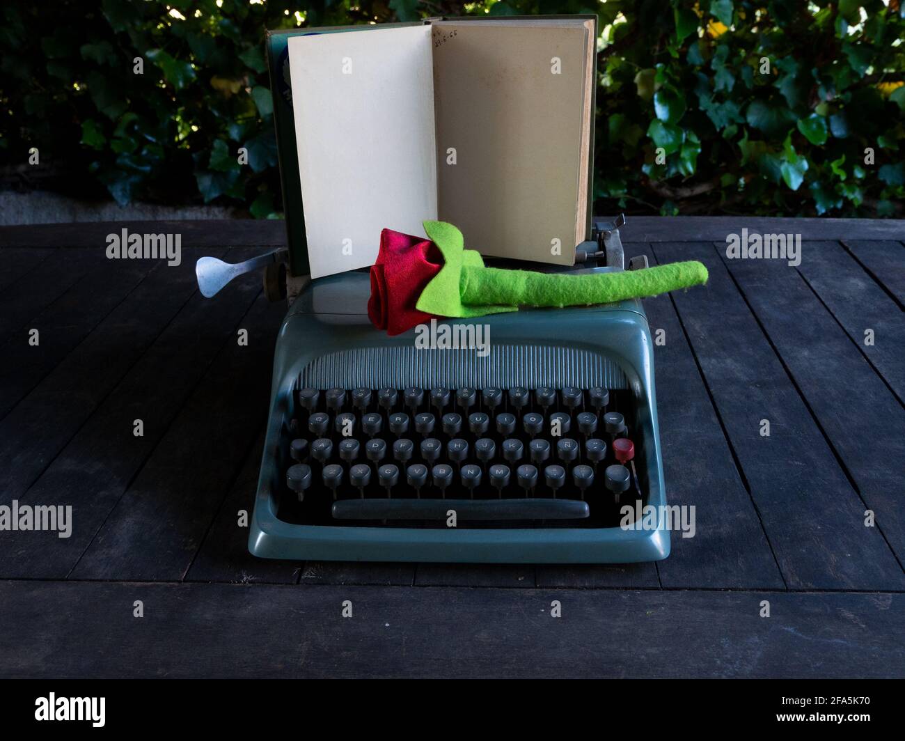 Eine Rose auf einem Stapel von Büchern und Eine Schreibmaschine Stockfoto