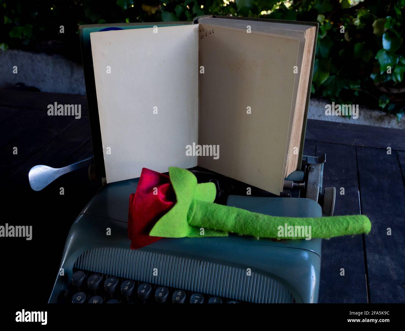 Eine Rose auf einem Stapel von Büchern und Eine Schreibmaschine Stockfoto