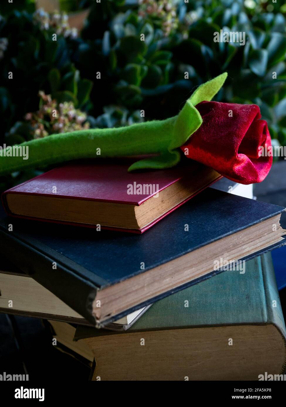 Eine Rose auf einem Stapel von Büchern und Eine Schreibmaschine Stockfoto