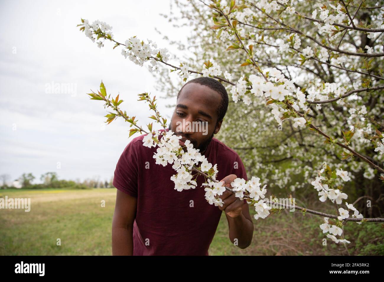 Ein afrikanischer Junge riecht Kirschblüten, es ist Frühling und die Pflanzen blühen Stockfoto