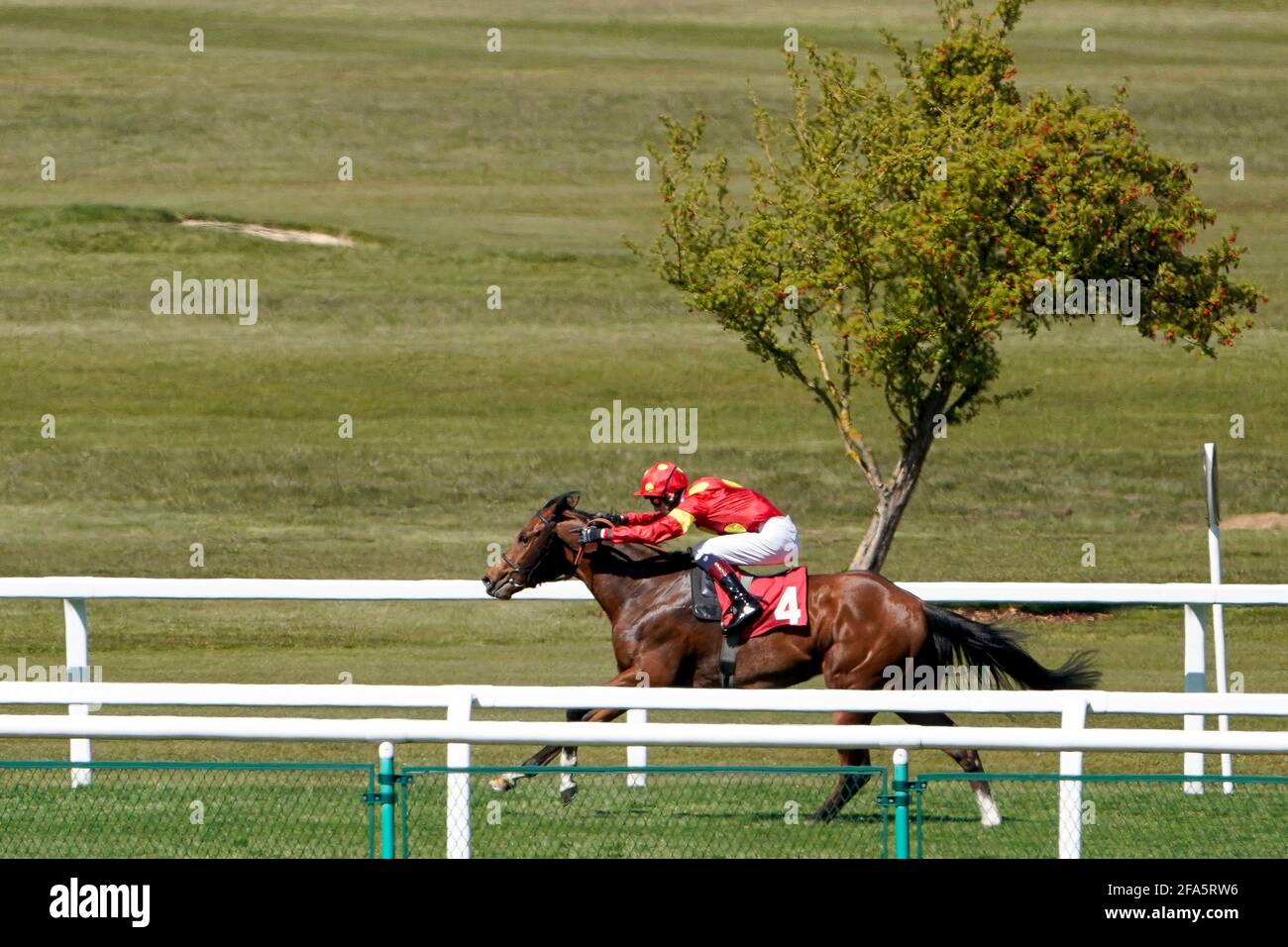 David Egan, der Nelson Gay reitet, gewinnt das bet365 Handicap auf der Sandown Park Racecourse. Bilddatum: Freitag, 23. April 2021. Stockfoto