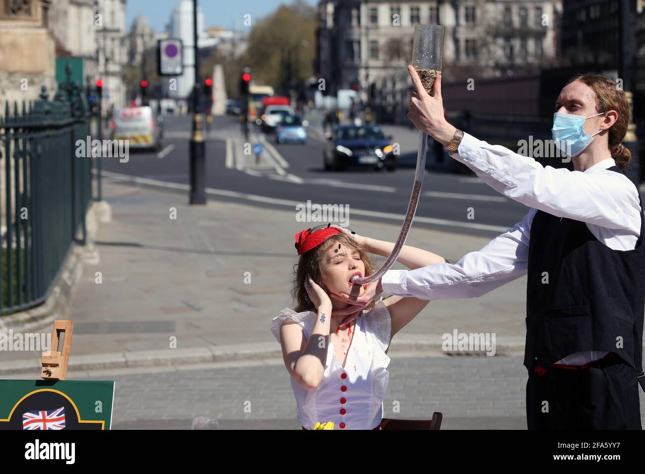 London, England, Großbritannien. April 2021. Eine PETA-Unterstützerin in einem rot-weißen Kleid mit englischer Flagge, das am St. George's Day an einem Esstisch vor dem britischen parlament saß, sah, wie sie ihr Abendessen durch einen Schlauch „zwangsernährt“ hatte, genauso wie Foie Gras-Produzenten Getreide in die Mägen von verängstigten Gänsen und Enten Pumpen, um ihre Leber zu vergrößern. Das Verfahren ist im Vereinigten Königreich illegal. Kredit: Tayfun Salci/ZUMA Wire/Alamy Live Nachrichten Stockfoto
