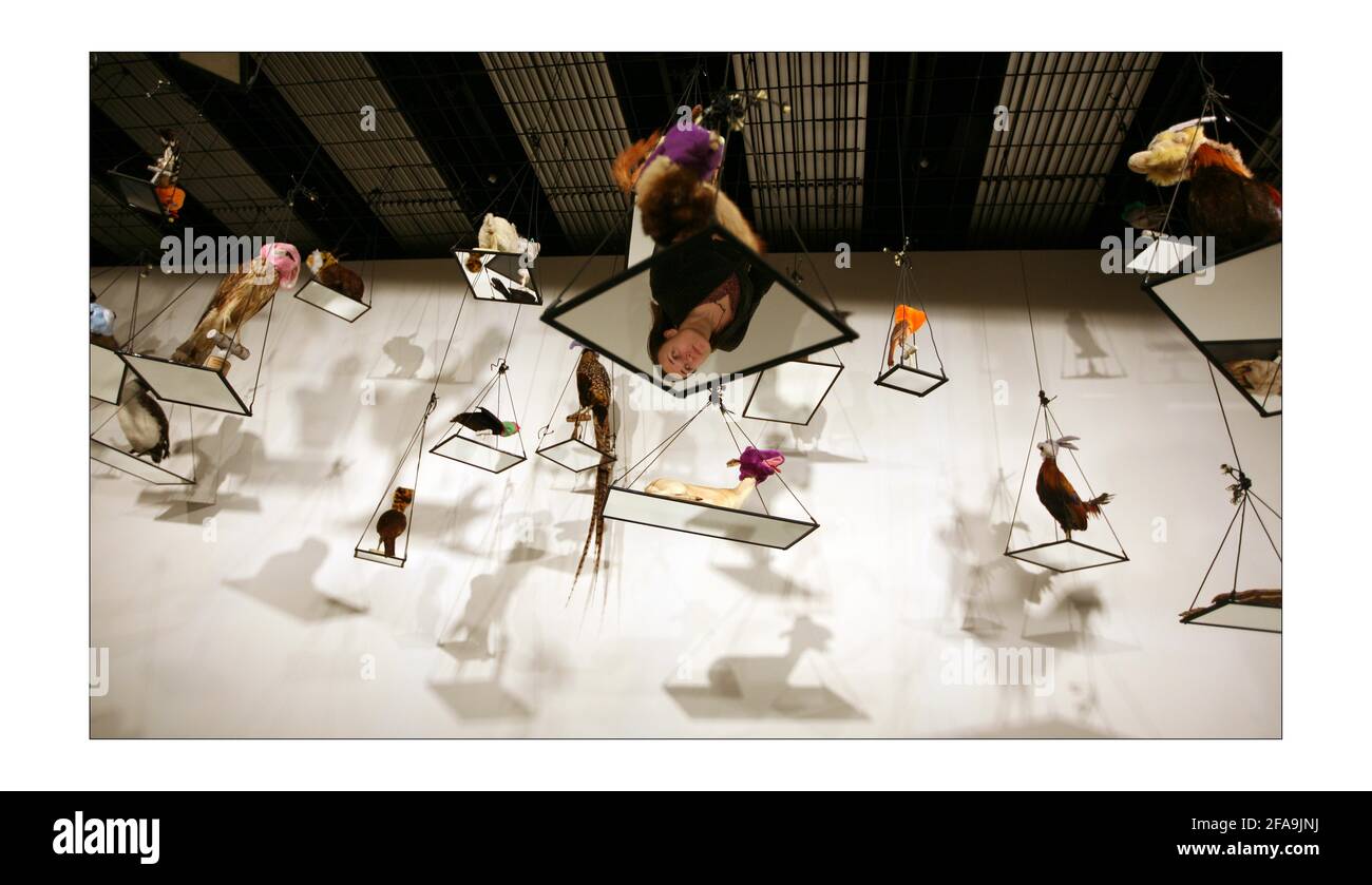 DIE BOTEN.... eine Ausstellung von Annette Messager in der Hayward Galerie in London 4. März - 25. Mai 2009. 'Sie und wir, wir und sie' 2000photograph von David Sandison The Independent Stockfoto