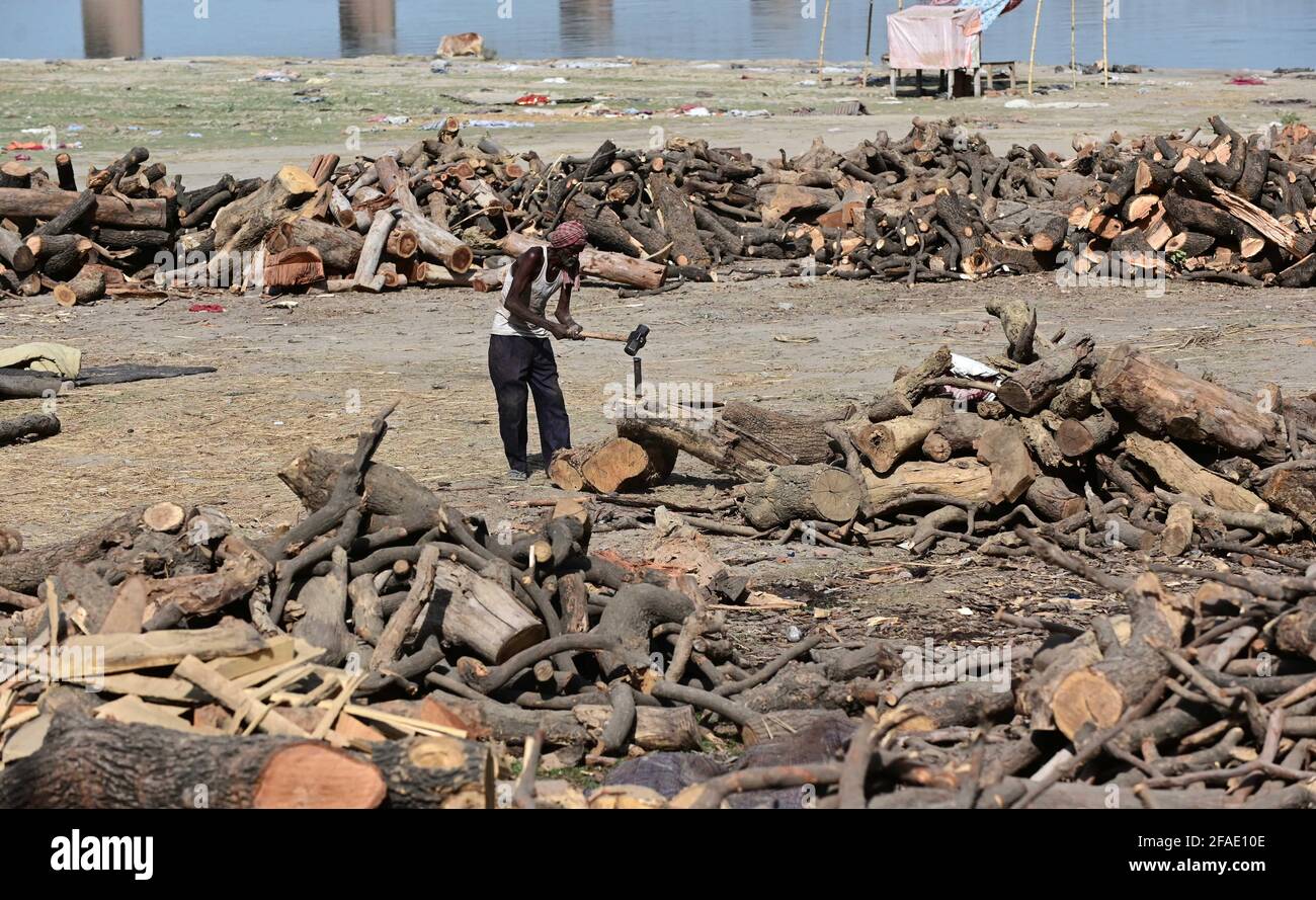 Allahabad, Uttar Pradesh, Indien. April 2021. Prayagraj: Eine Arbeitskraft, die am Freitag, den 23. April 2021, in Daraganj Ghat in Prayagraj Holz für die Einäscherung aussortiert. Quelle: Prabhat Kumar Verma/ZUMA Wire/Alamy Live News Stockfoto