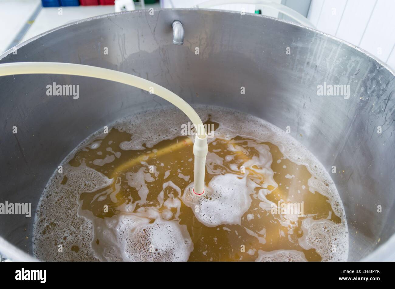Herstellung von Craft Bier, Edelstahl hausbraumaschinen, Umwälzpumpen des Most. Stockfoto