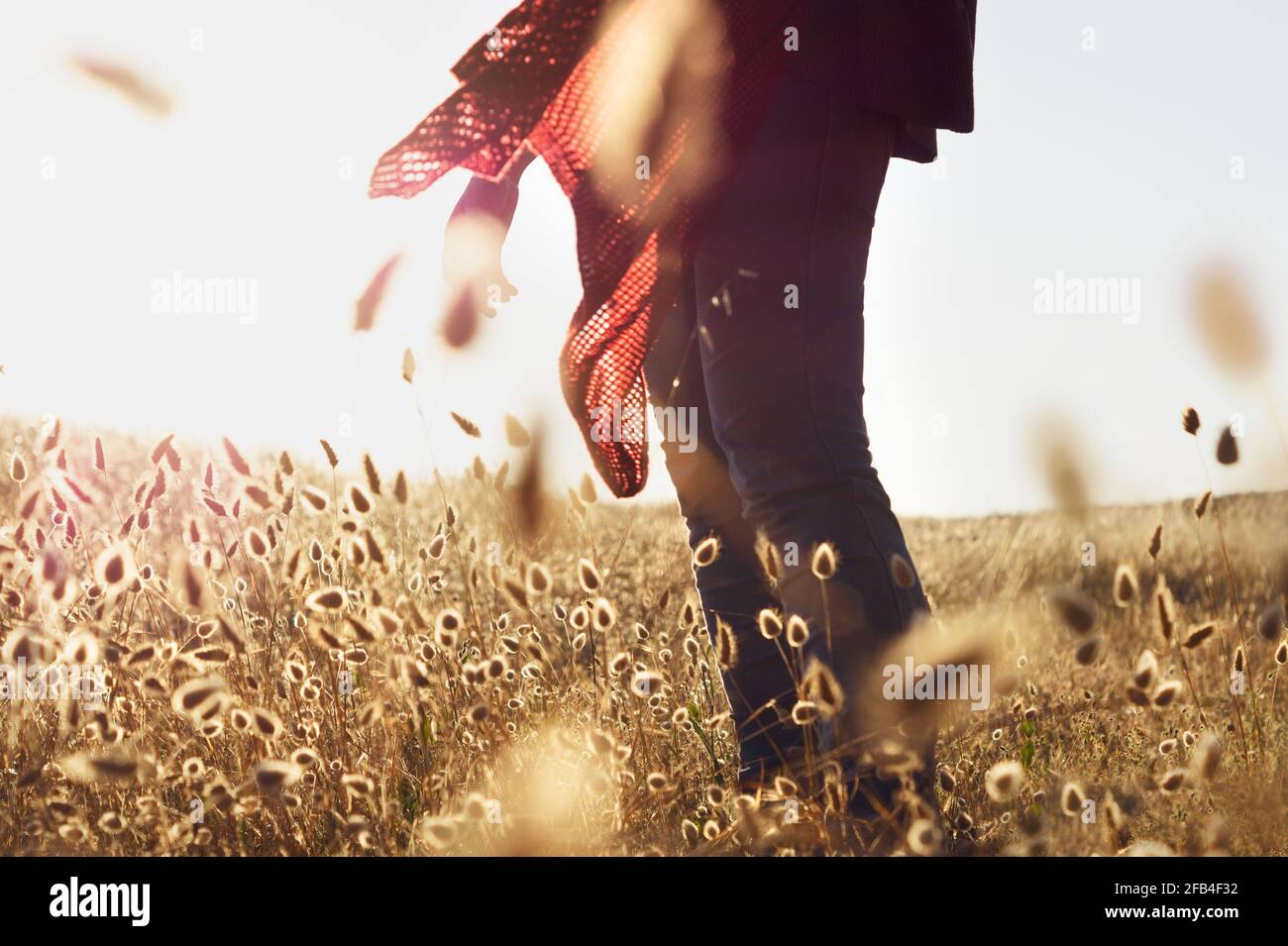 Junge Frau mit rotem Schal, die auf einem Feld steht Stockfoto