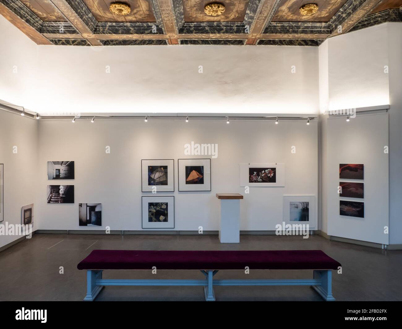 Ausstellungsraum mit einer historischen Kassettendecke aus dem 17. Jahrhundert Die Ars aemula Naturae in Leiden Stockfoto