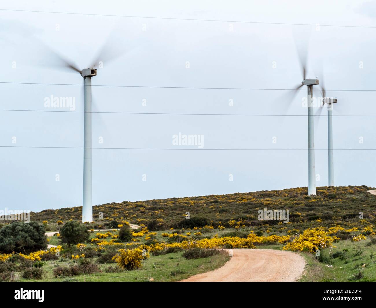 Windenergieanlagen bewegen ihre Rotorblätter auf dem Feld in der Nähe von A Landstraße Stockfoto