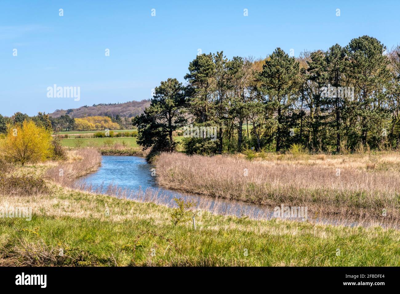 Der kleine Fluss Ingol in der Landschaft von West Norfolk an einem schönen Frühlingstag. Stockfoto