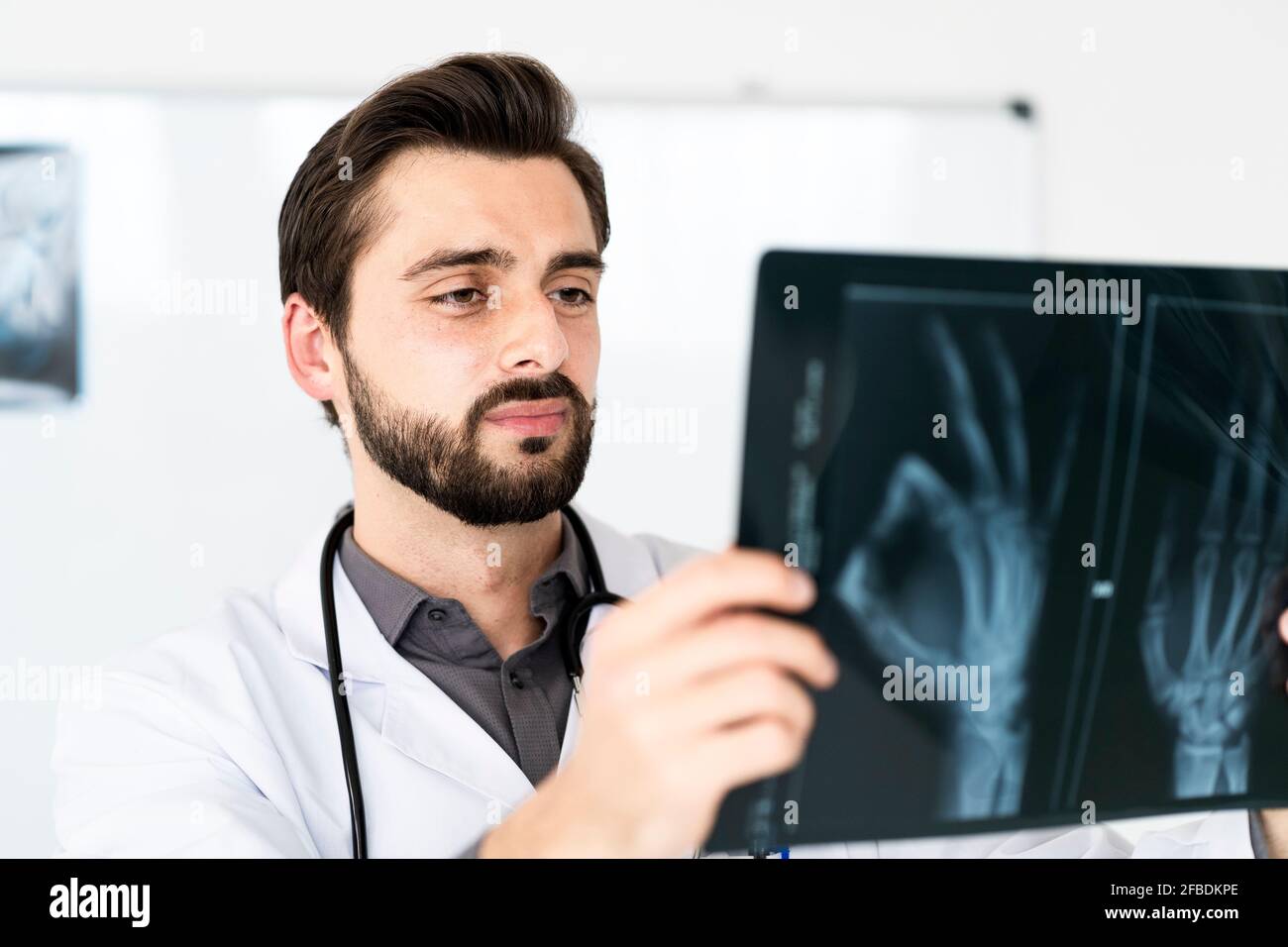 Gutaussehender männlicher Gesundheitsarbeiter, der Röntgenaufnahmen untersucht Stockfoto