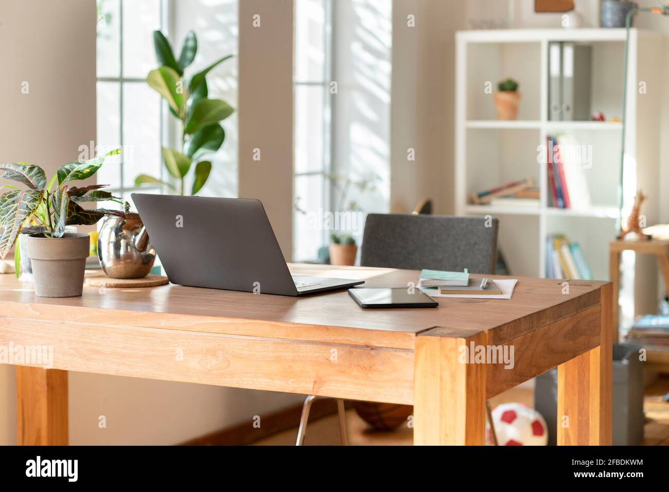 Interieur des modernen Wohnzimmers mit Laptop und Topfpflanze Auf dem Tisch zu Hause Stockfoto