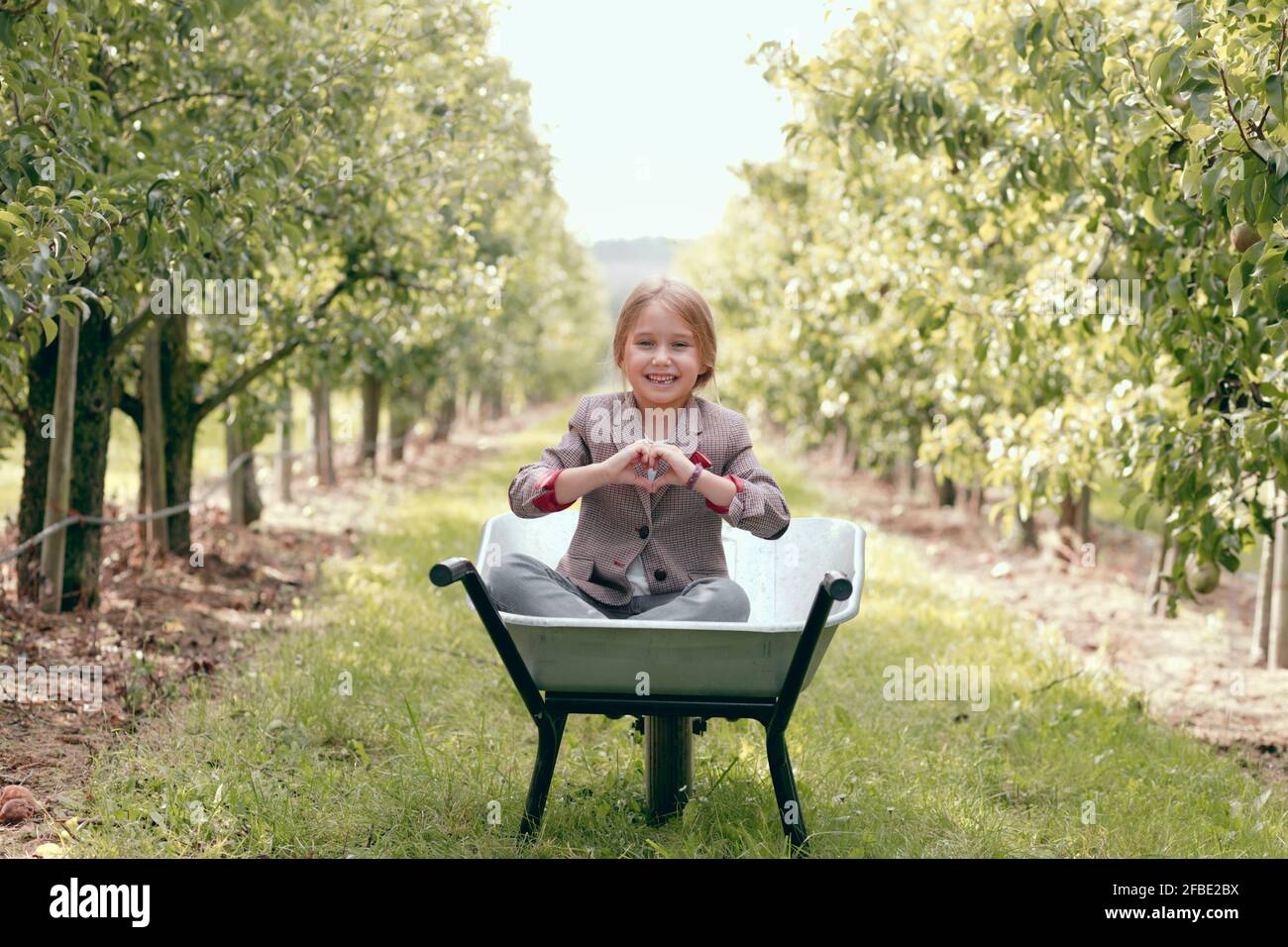 Nettes Mädchen macht Herzform mit Fingern, während in Schubkarre auf Obstgarten sitzen Stockfoto
