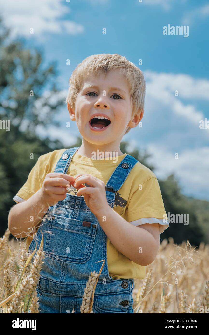 Netter Junge mit offenem Mund, der im Gerstenfeld steht Stockfoto