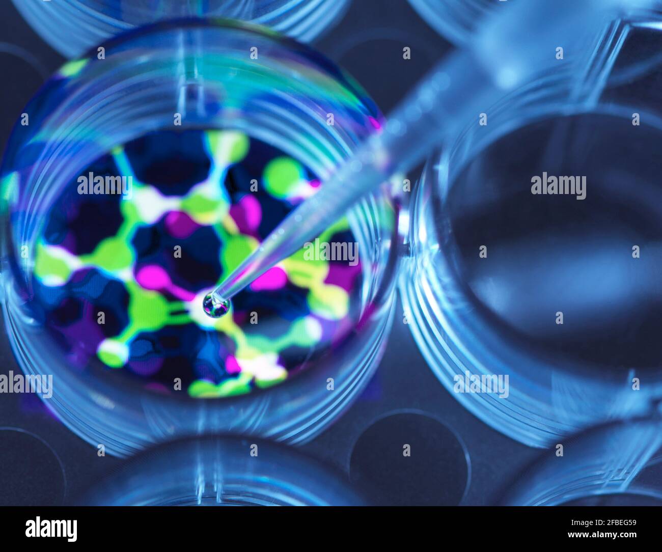 Konzeptionelles Bild zur Veranschaulichung der Biotechnologie: Wissenschaftler pipettieren chemische Formel in Multi-Well-Platte während eines Experiments Stockfoto